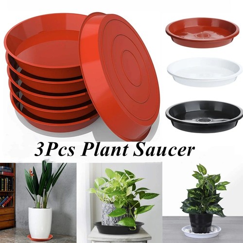Plant pot saucers - plant, |