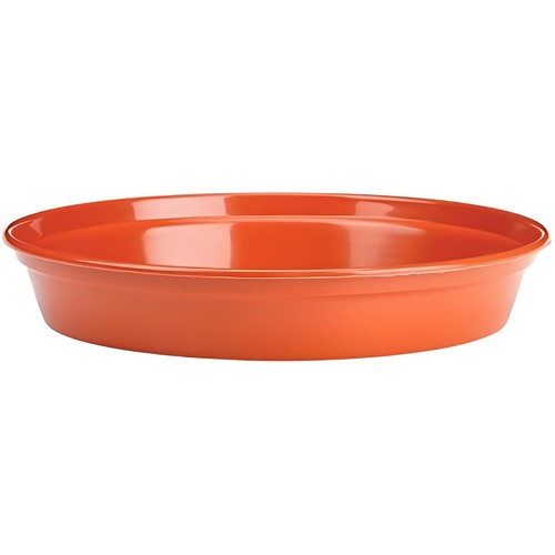 Stewart inch plant pot - plant,