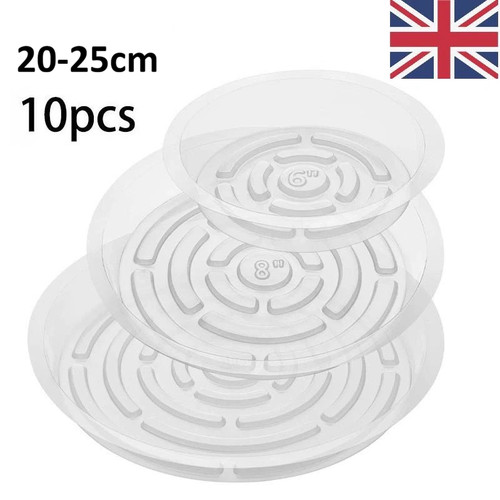 10pack 10 inch clear - of,