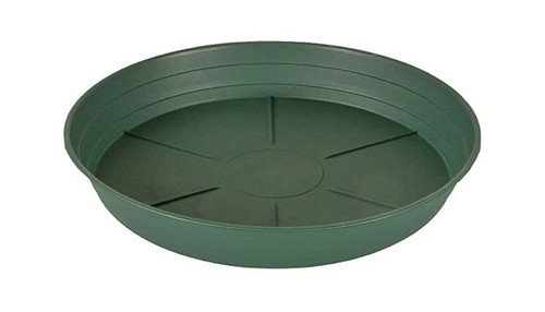 Plant pot saucer - plant,