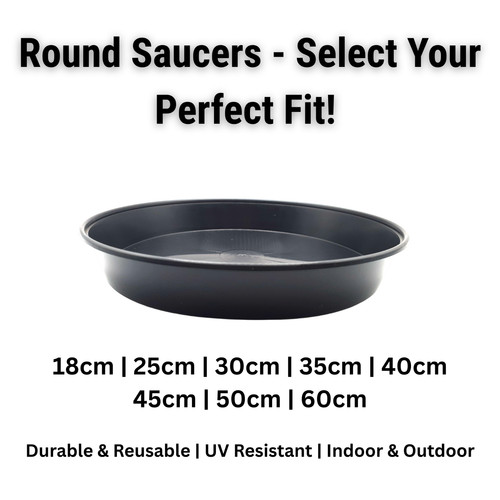 Plant pot saucers black - plant,