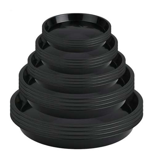 Furuising 20pcs plant - 20pcs, pot