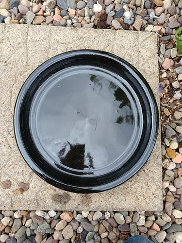 Black ceramic plant - black,