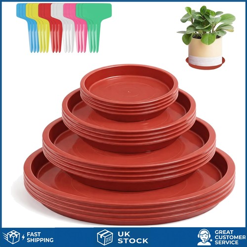 Sturdy round plastic plant - sturdy,