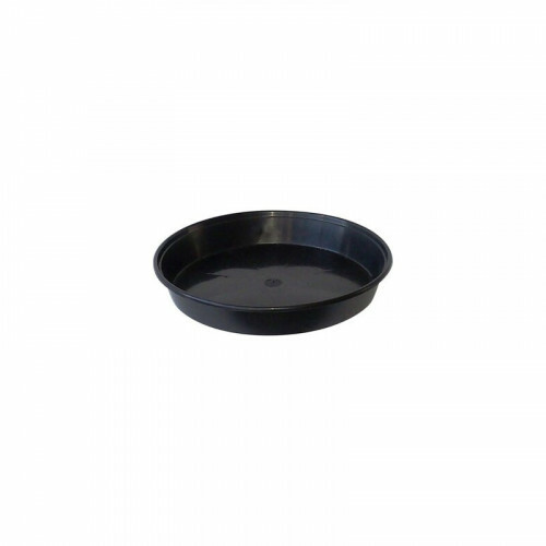 Black round plastic plant - x,