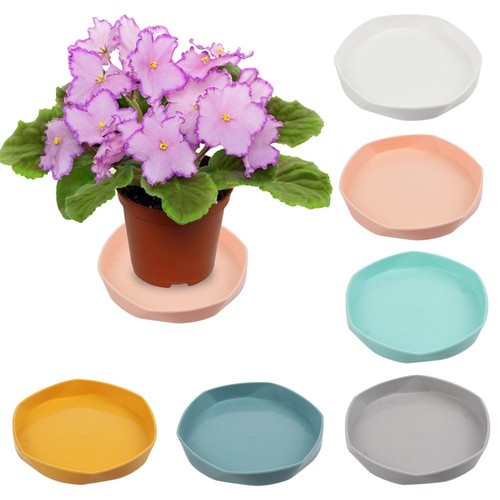 Plant pot saucers - pot, black