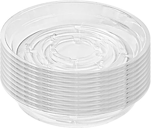 Inch clear plant - inch,