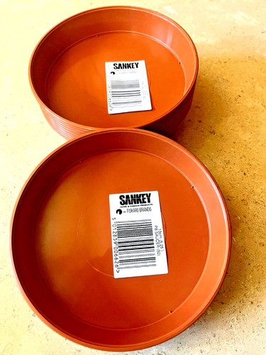 Plastic plant saucers to - plant,
