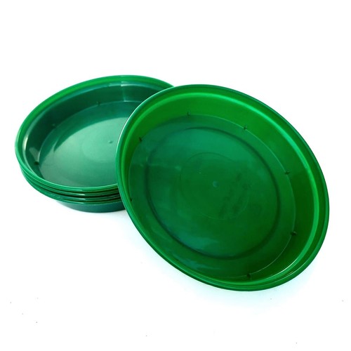 Green plant pot saucers round - plant,