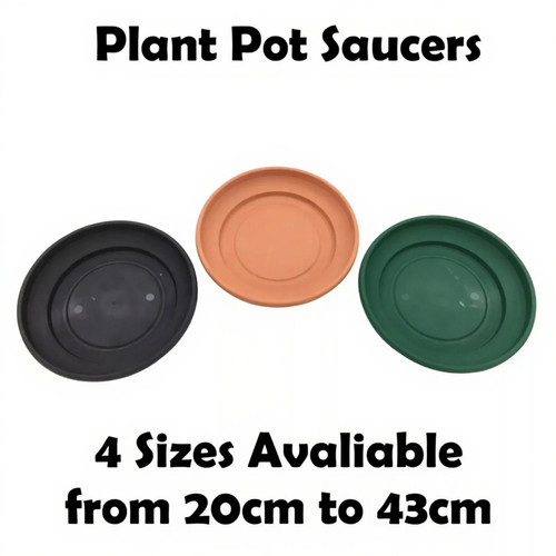 Plant pot saucer - plant, strong