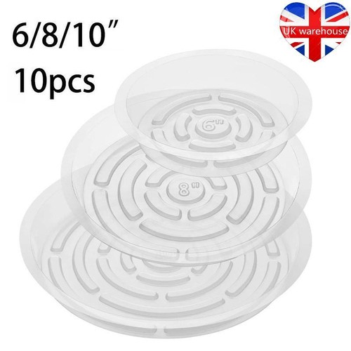 10pack 10 inch clear - of,