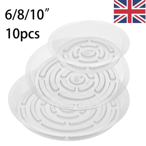 10pack 10 inch - of, 6/8/10